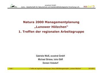 Download Vortrag zum FFH-Gebiet Lunower Hölzchen