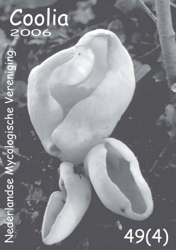 Download deze Coolia in PDF - Nederlandse Mycologische ...