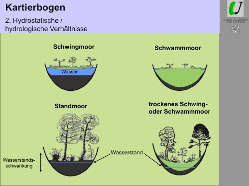 Von der Idee bis zum nassen Moor -Grundlagen einer erfolgreichen ...