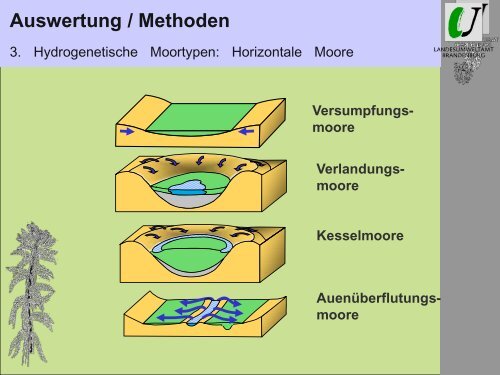 Von der Idee bis zum nassen Moor -Grundlagen einer erfolgreichen ...