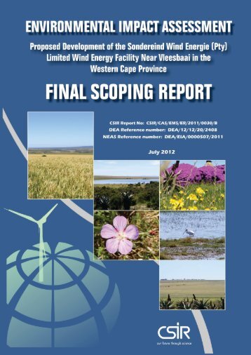 Final Scoping Report - CSIR
