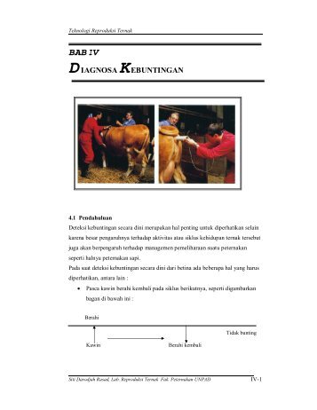 BAB IV Diagnosa Kebuntingan - Blogs Unpad