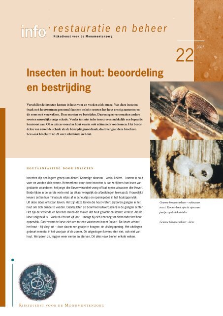 Insecten in hout: beoordeling en bestrijding - VHN