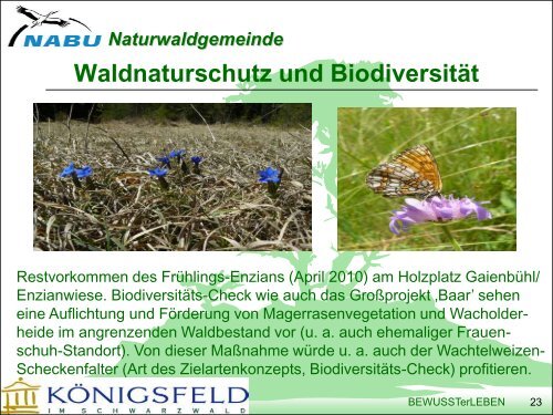 Koenigsfeld NABU Naturwaldgemeinde, F.Link - Naturschutztage ...