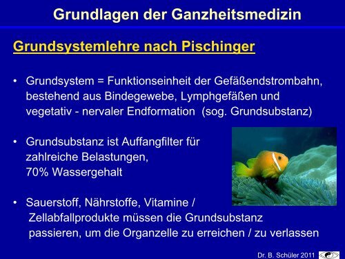 Naturheilverfahren Bei Makuladegeneration - Natur und Medizin e.V.