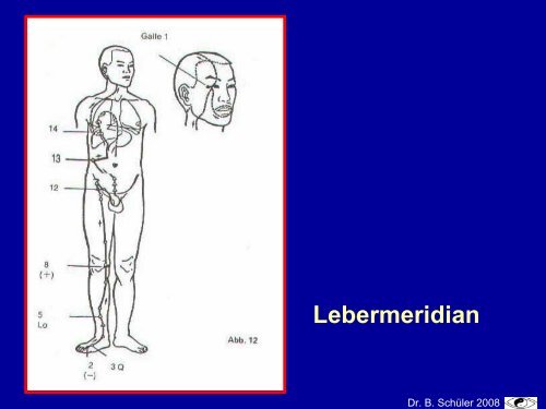 Epidemiologie der altersbedingten Makuladegeneration (AMD)