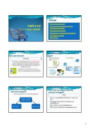 3_3 Internet en WWW