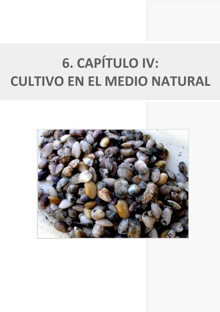 Ciclo reproductivo, cultivo en criadero y en el medio natural de la ...