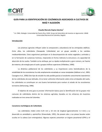 Guia taxonómica de Colémbolos - LAC Biosafety