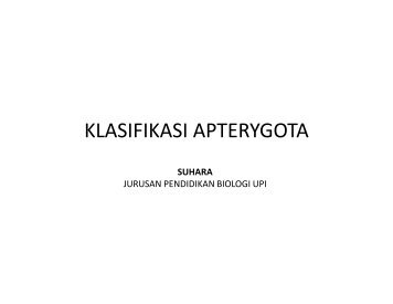 Ch.7 Klasifikasi Apterygota