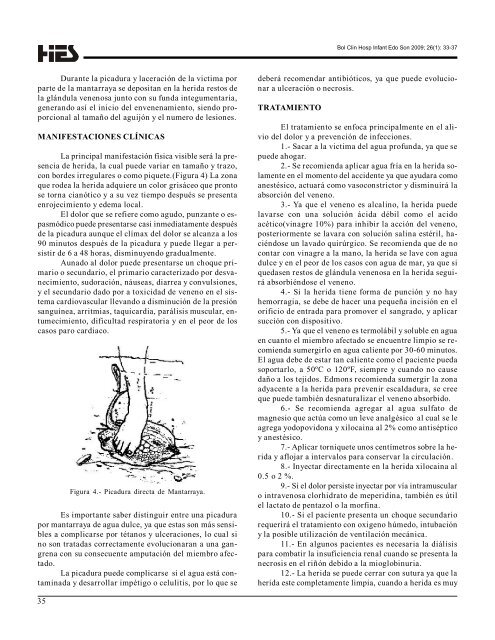 edema de picadura después de una lesión muscular