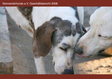 NiemandsHunde e.V. Geschäftsbericht 2008