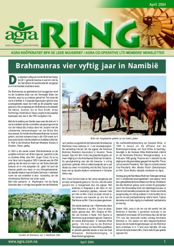 Brahmanras vier vyftig jaar in Namibië - Agra