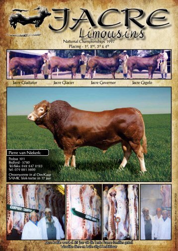 Limousins - The Limousin Cattle Breeders' Society of South Africa