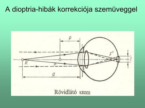 Látás fiziológia_1