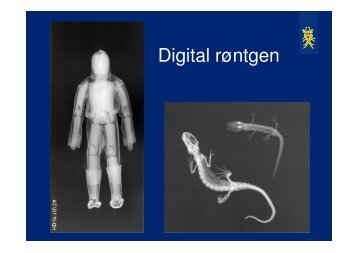 Moesgaard Museum digital røntgen 26.10.pdf