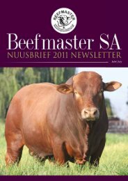 Complete newsletter / Volledige nuusbrief (PDF ... - SA Stamboek