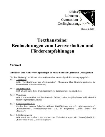 Beobachtungen zum Lernverhalten und Förderempfehlungen