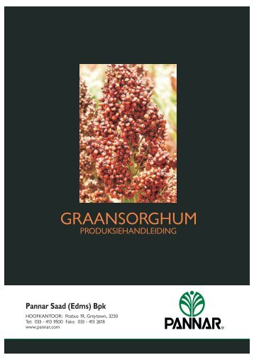 Graansorghum Cover - Pannar Seed