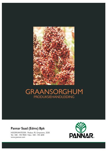Graansorghum Cover - Pannar Seed