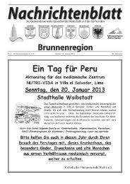 Nachrichtenblatt Brunnenregion KW03 2013 - Nussbaum Medien