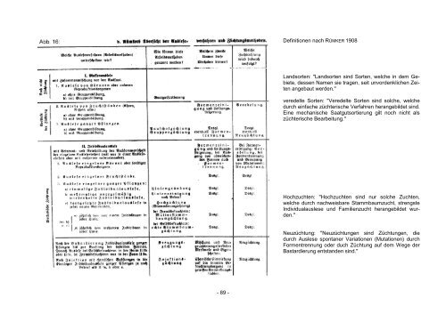 Download - VEN Verein zur Erhaltung der Nutzpflanzenvielfalt