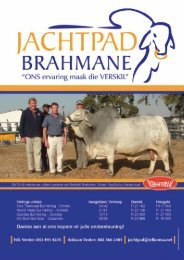 Deel 3 - Brahman Breeders Society of South Africa