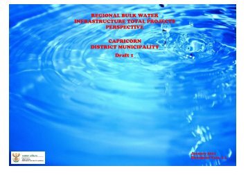 REGIONAL BULK WATER INFRASTRUCTURE ... - DWA Home Page