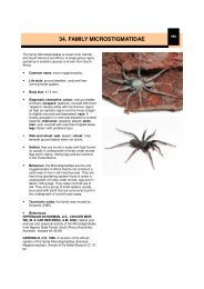 family nemesiidae (continued) - Agricultural Research Council