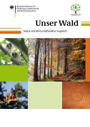 Unser Wald: Natur und Wirtschaftsfaktor zugleich - Waldkulturerbe.de