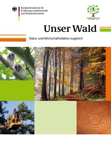 Unser Wald: Natur und Wirtschaftsfaktor zugleich - Waldkulturerbe.de