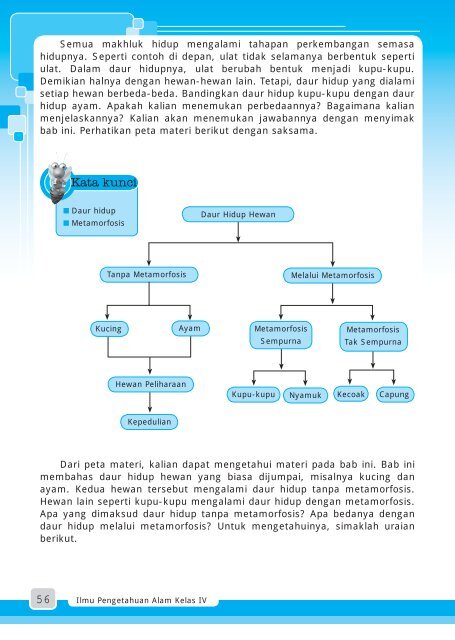87 Amatilah Gambar Hewan Hewan Peliharaan Berikut Terbaru Gambar