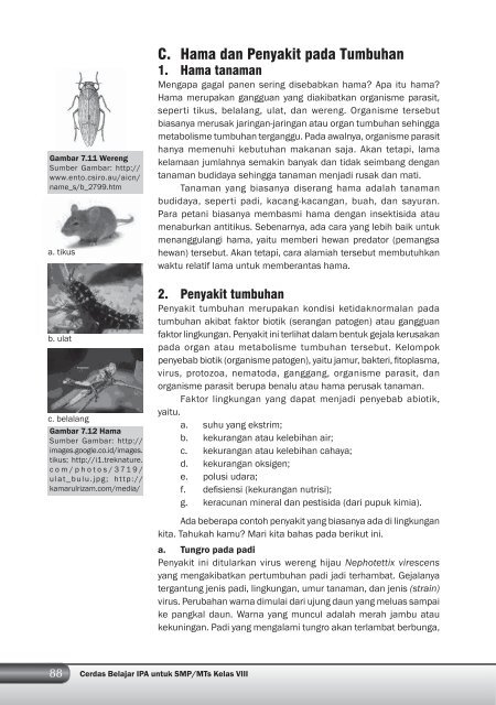 Kelas 8 – Ilmu Pengetahuan Alam