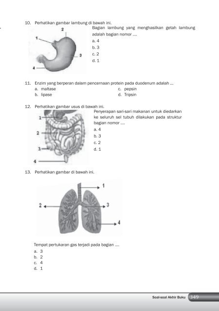 Kelas 8 – Ilmu Pengetahuan Alam