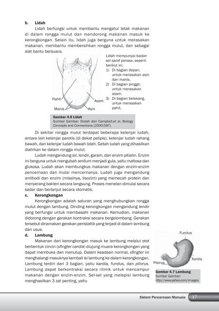 Kelas 8 – Ilmu Pengetahuan Alam