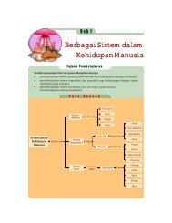 Berbagai Sistem dalam Kehidupan Manusia Berbagai ... - Siap Belajar