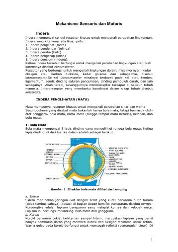 Mekanisme Sensoris dan Motoris Indera - Staff