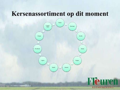 Rassenontwikkeling bij kersen - DLV Plant