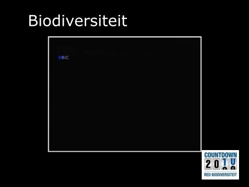 Hommels, bijen, wespen... wie geraakt er nog wijs uit?