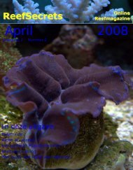 April 2008 - Reefsecrets