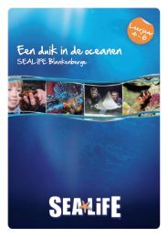 Educatief Pakket Lager Onderwijs - Sea Life