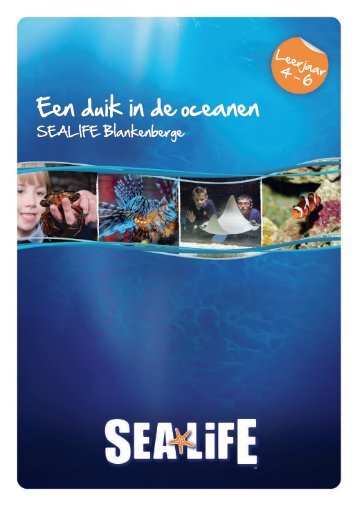 Educatief Pakket Lager Onderwijs - Sea Life