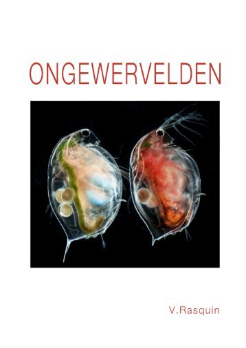 Allemaal beestjes … zonder ruggengraat - V.O.B.