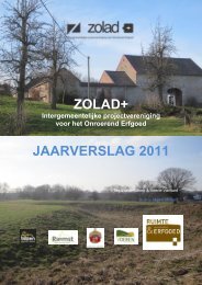Jaarverslag Zolad+ Werkjaar 2011