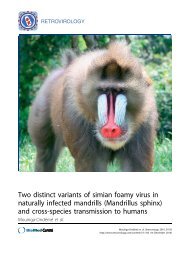 Two distinct variants of simian foamy virus in naturally ... - HAL - RIIP