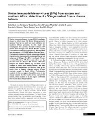 Simian immunodeficiency viruses (SIVs) - Journal of General Virology