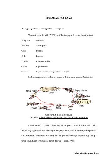 Chapter II.pdf - USU Institutional Repository - Universitas Sumatera ...