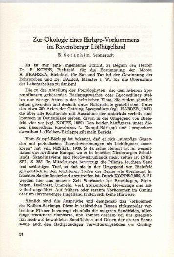 Zur Ökologie eines Bärlapp-Vorkommens im Ravensberger ...