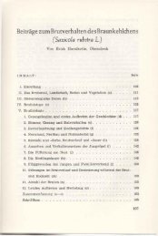 Beiträge zum Brutverhalten des Braunkehlchens (Saxicola rubetra L.).