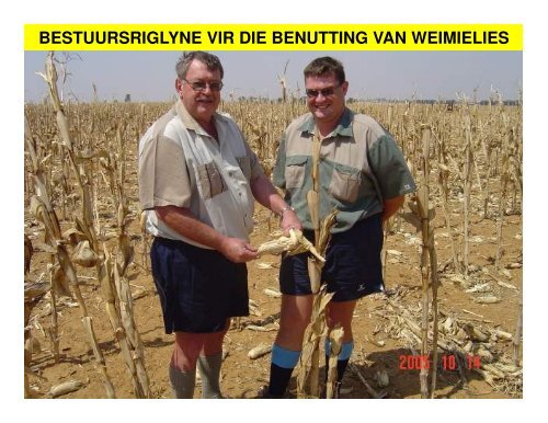 Theo en Piet Delport - Voermol